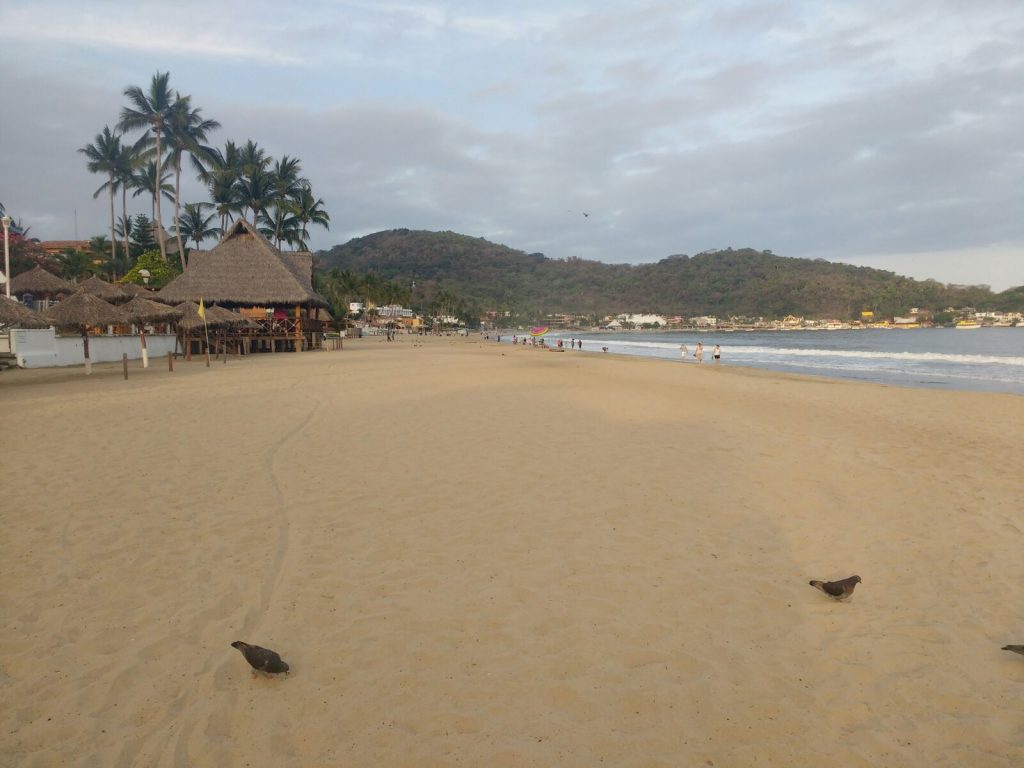 guayabitos playa limpia certificada